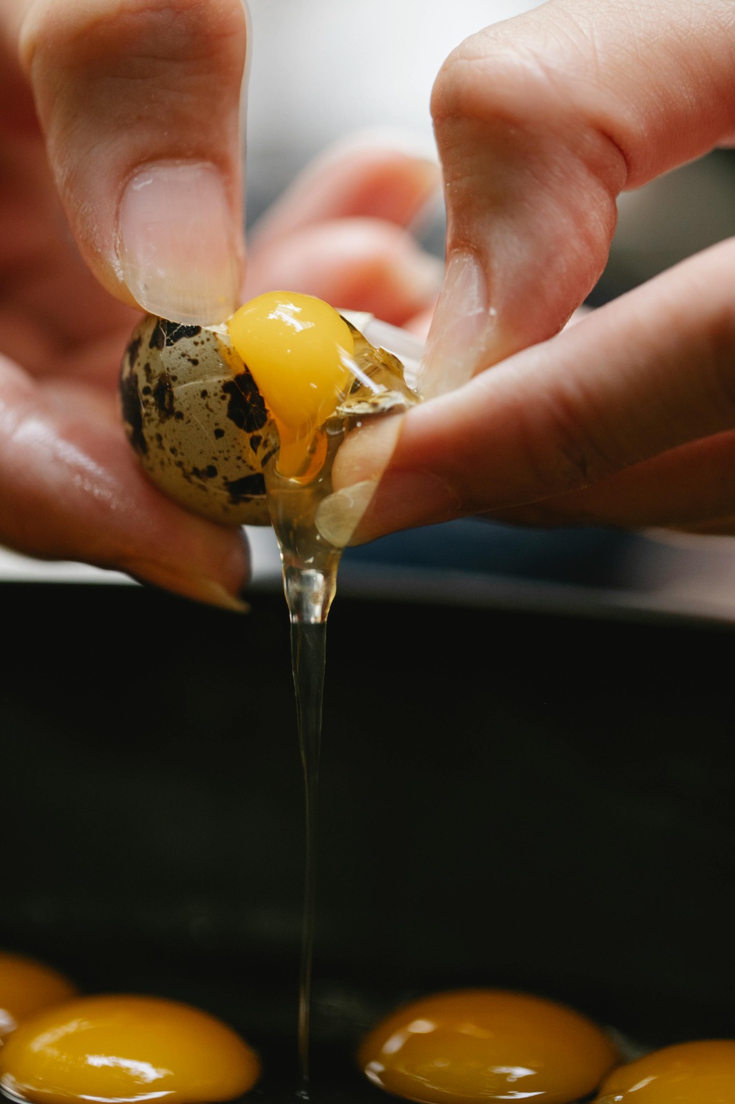 Fresh Quail Eggs